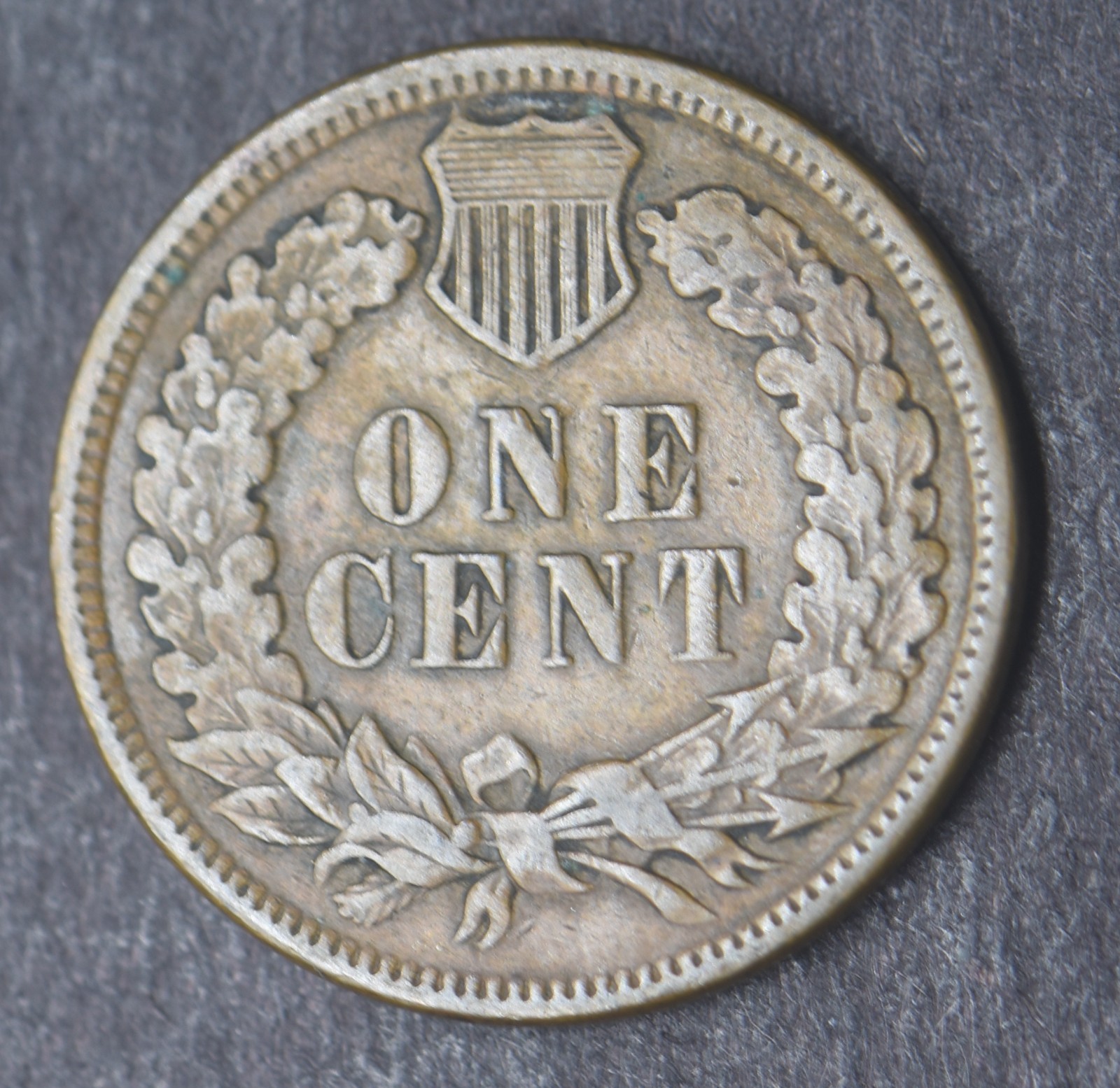 1881-P Indian Head Cent 1C [COINGIANTS]