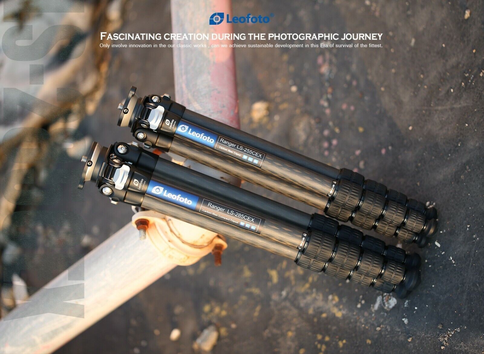 Leofoto Tripod Ranger LS-285CEX Leveling Base Carbon Fiber Tripod