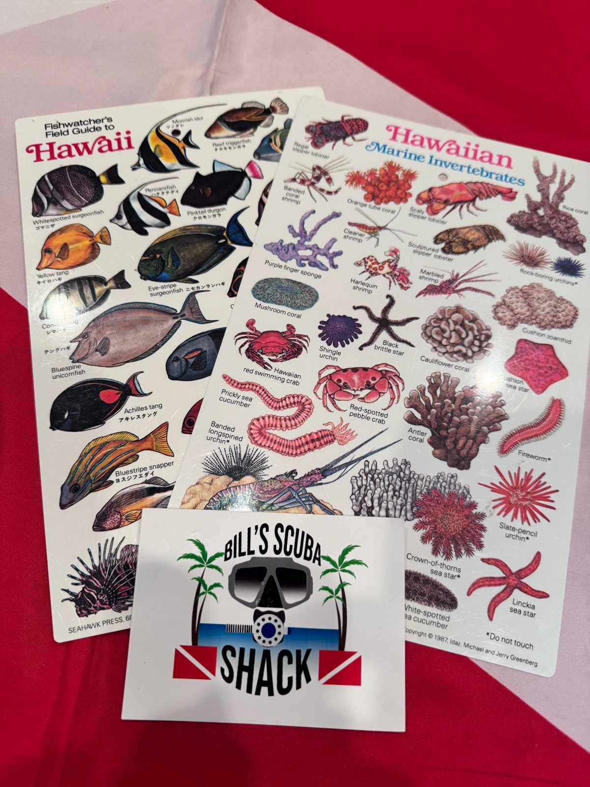 SCUBA DIVING HAWAII FISH, SHELLS, INVERTEBRATES  ID CARD GUIDE SET OF 2 COOL!