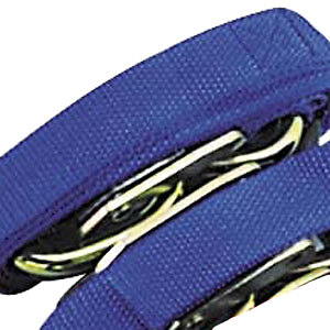 BikeMaster Standard Tiedowns Blue (100520)