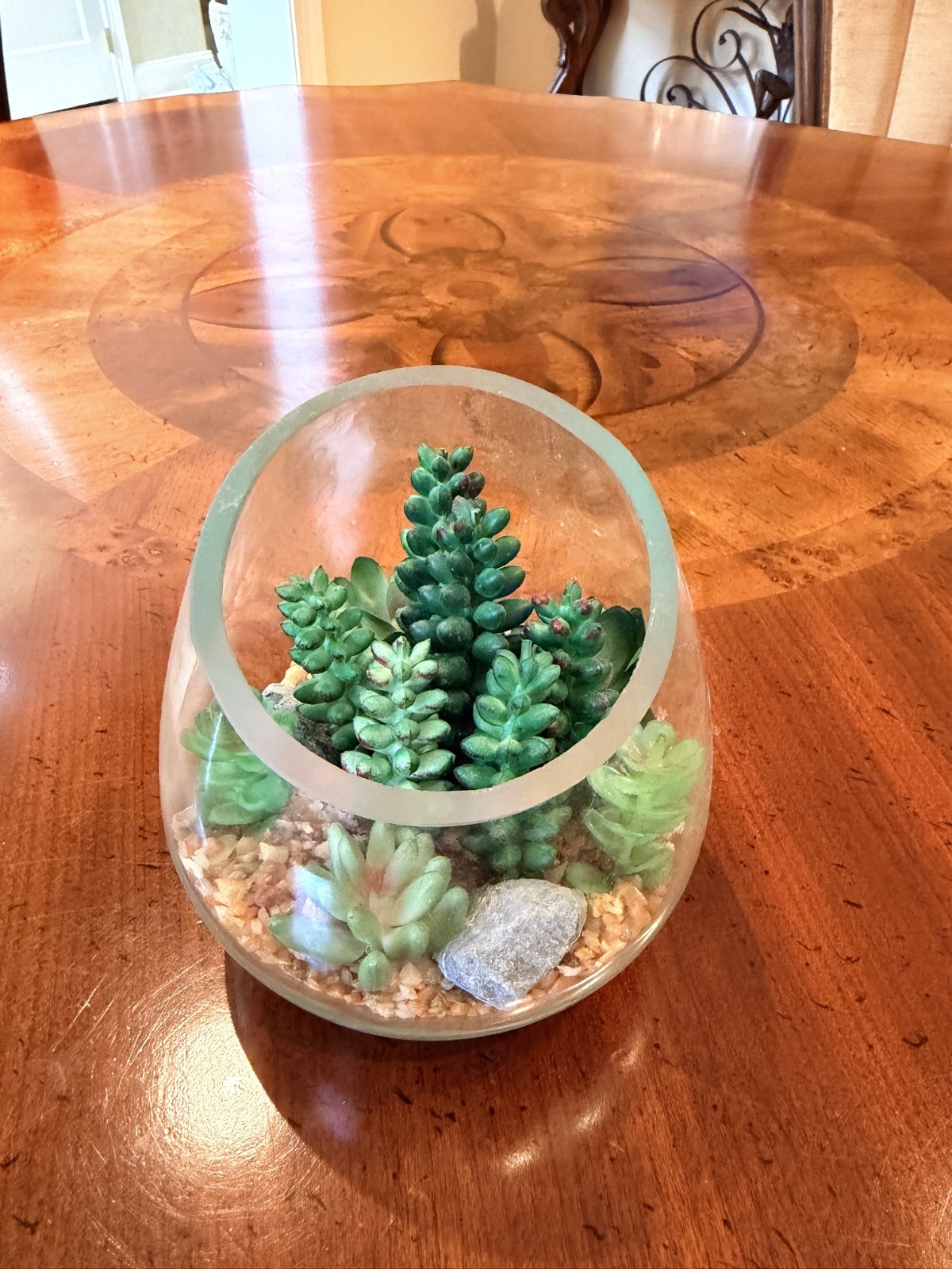 Clear Glass Tabletop Globe Terrarium with Green Succulents and Pebbles