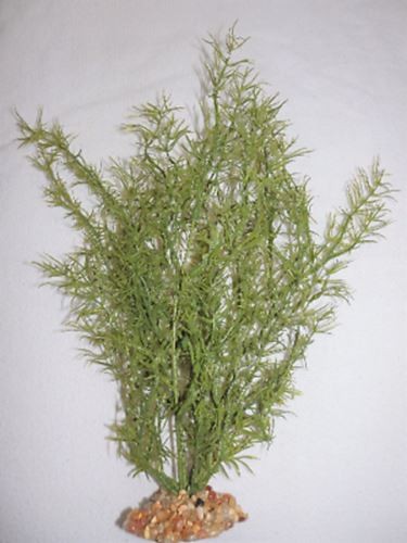 13 in. Small 3-stem THICK OLIVE Green SPRENGERI Soft Plastic Wireless Plant, Sto