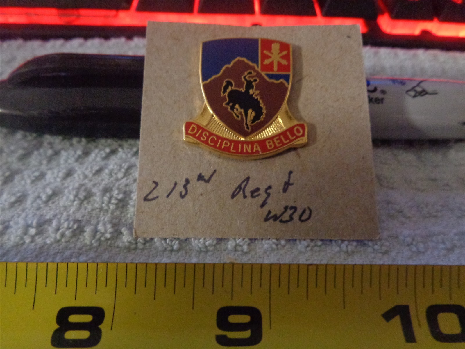 213th Regiment W30 Unit Crest, DI, DUI (DRAW#L4)