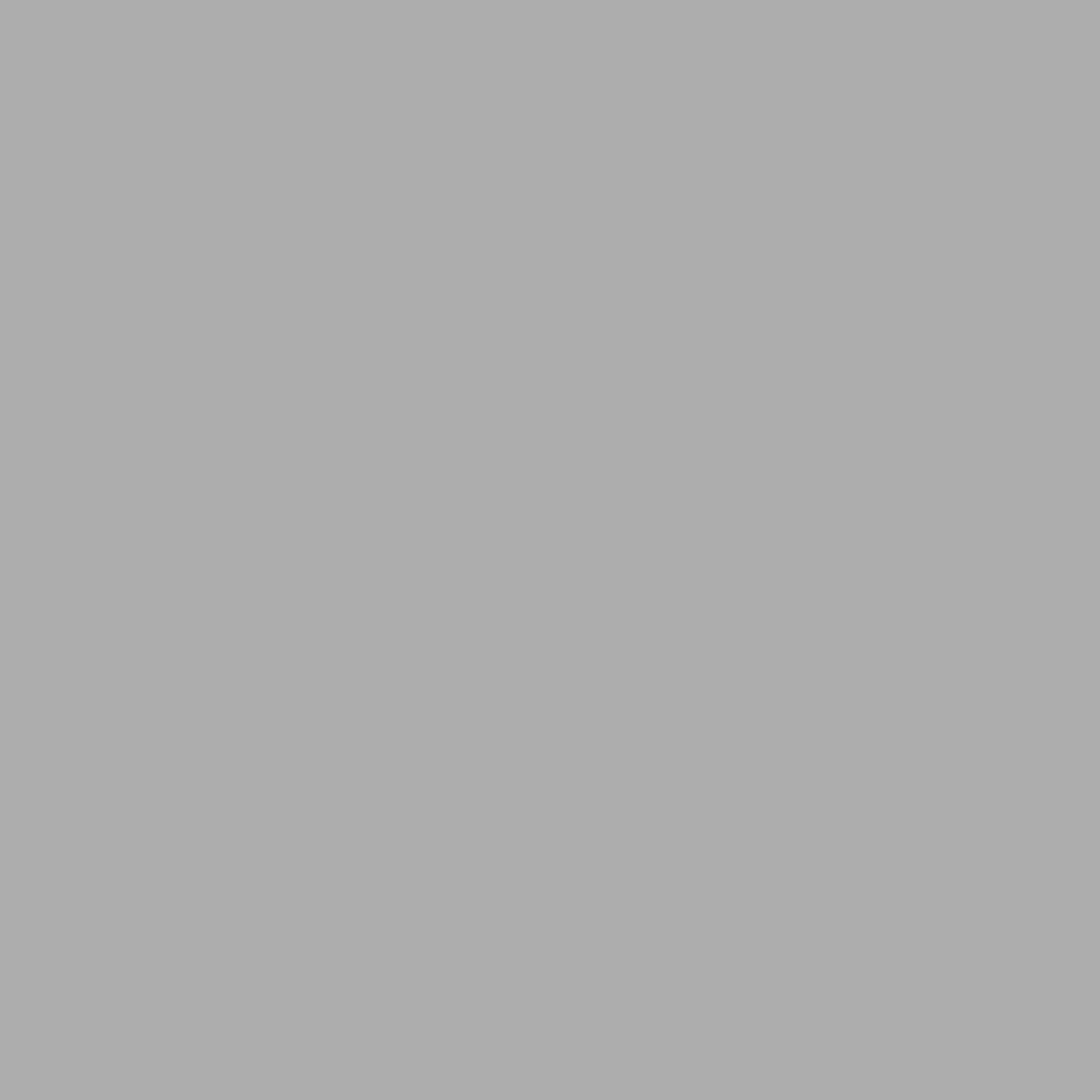 Fundamentals Flagstone / Gray Flat Interior Paint 1 Gallon