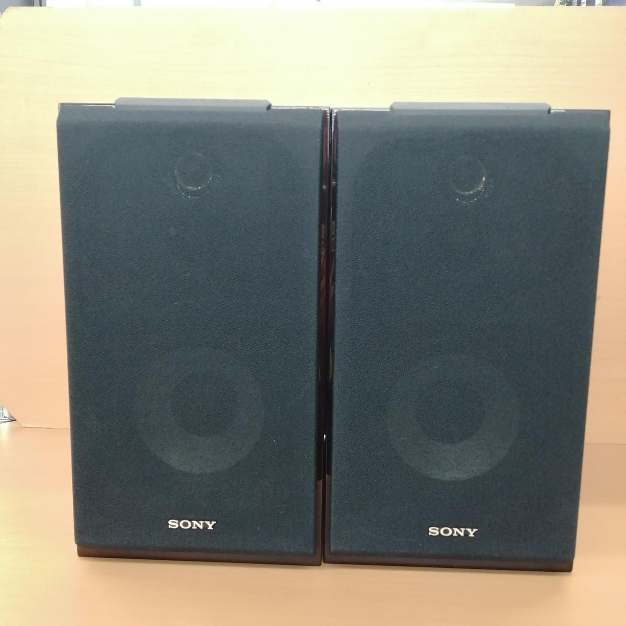 Sony Bookshelf Speakers Ss-hw1 Used