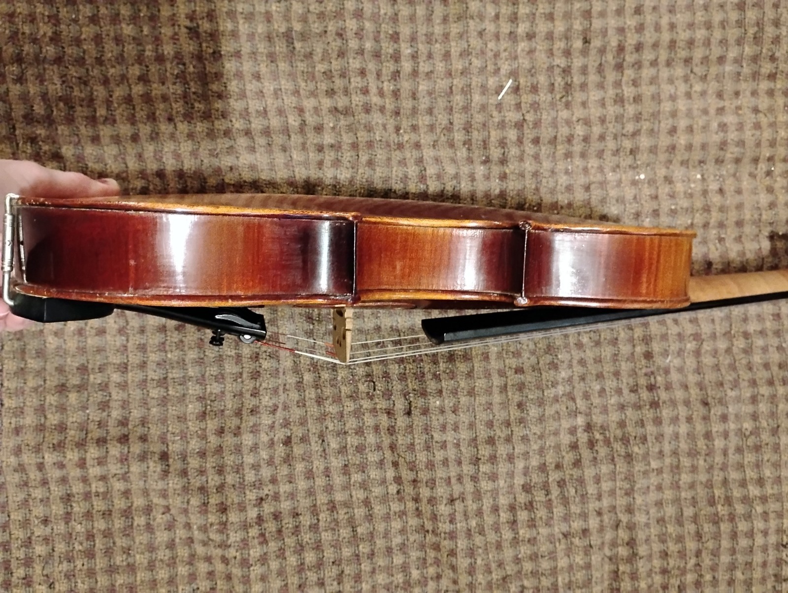 Violin