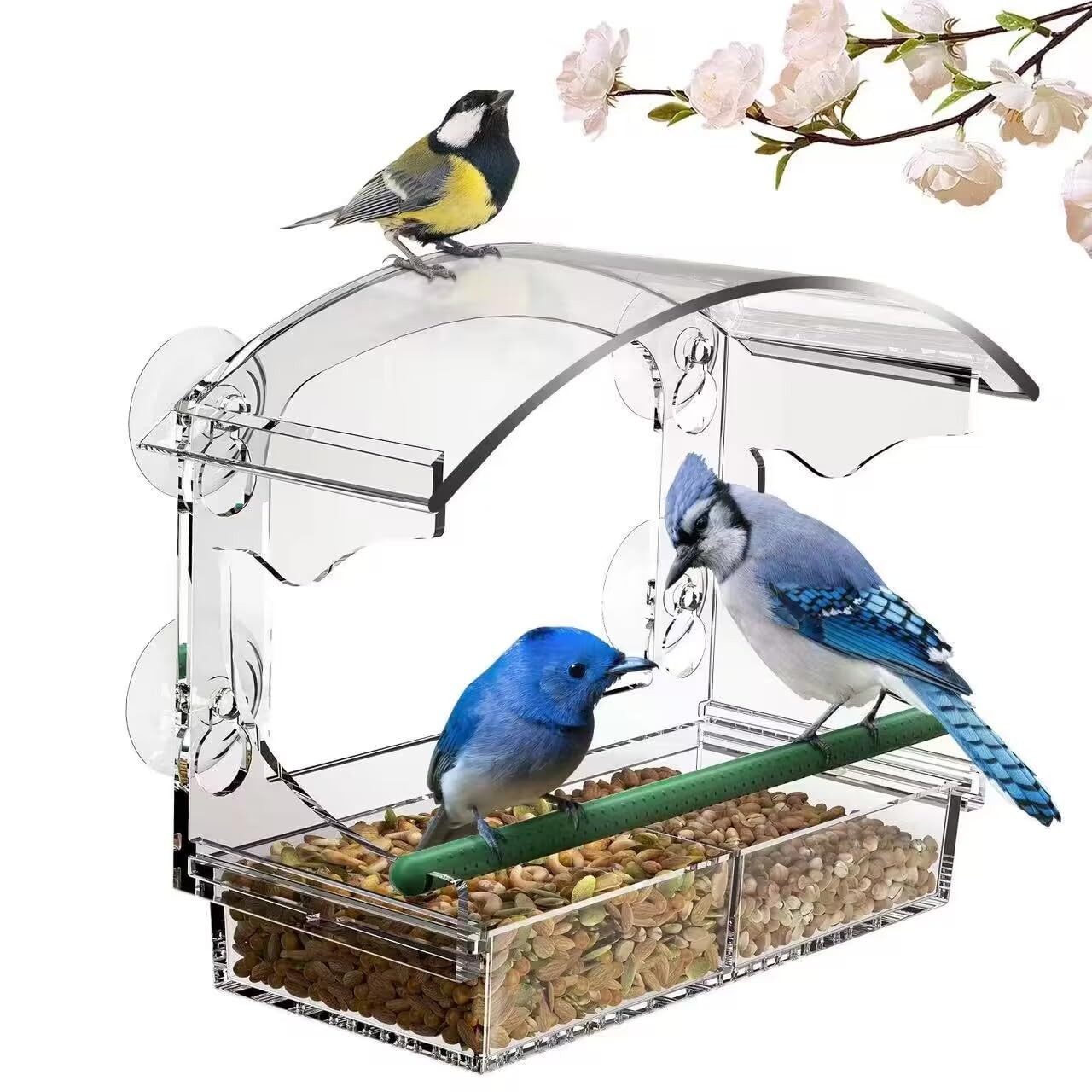 Window Bird Feeder with 4 Strong Suction Cups, Feeder, Clean