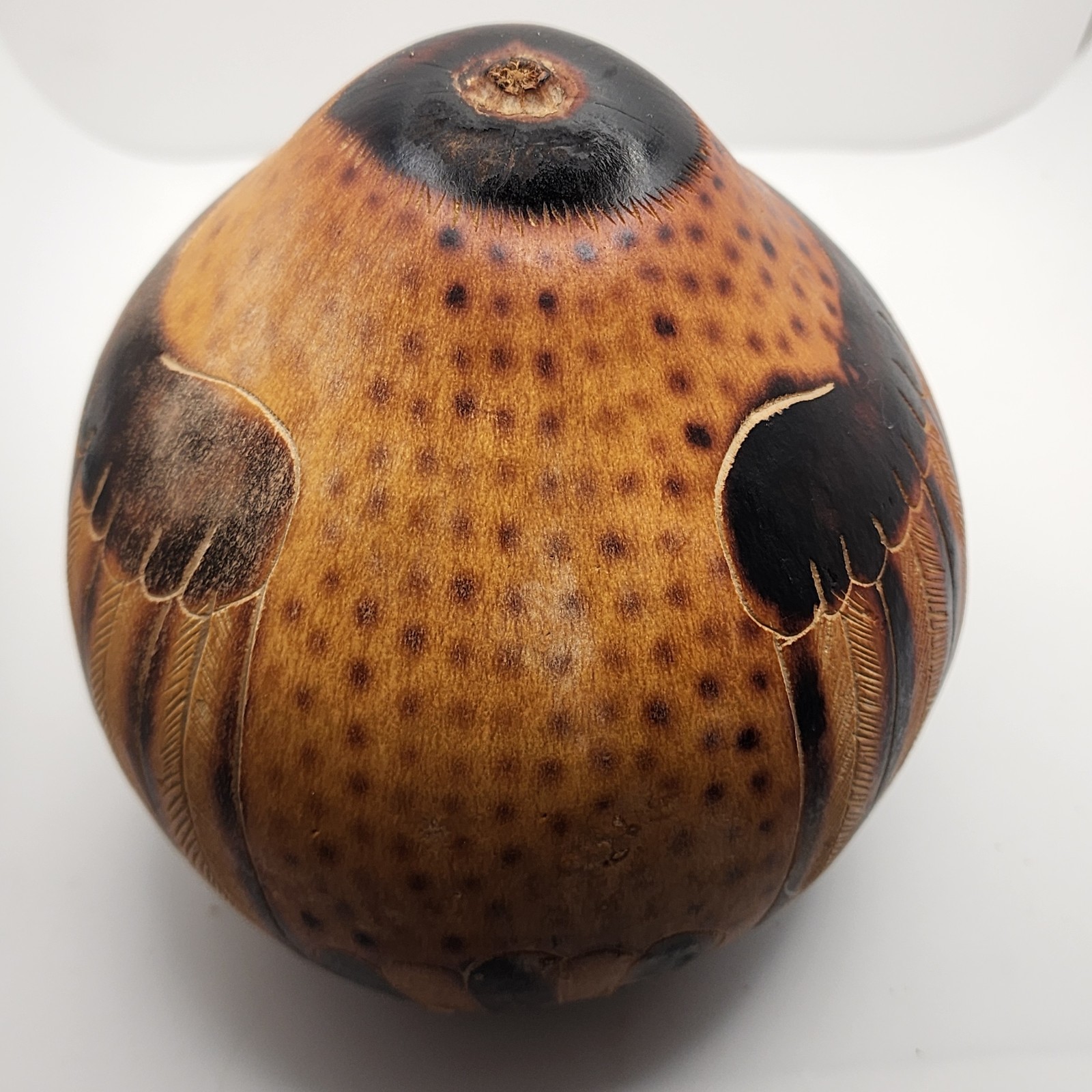 Peruvian Folkart Gourd Handmade Musical Shaker LG Bird Kingfisher 7.5IN W