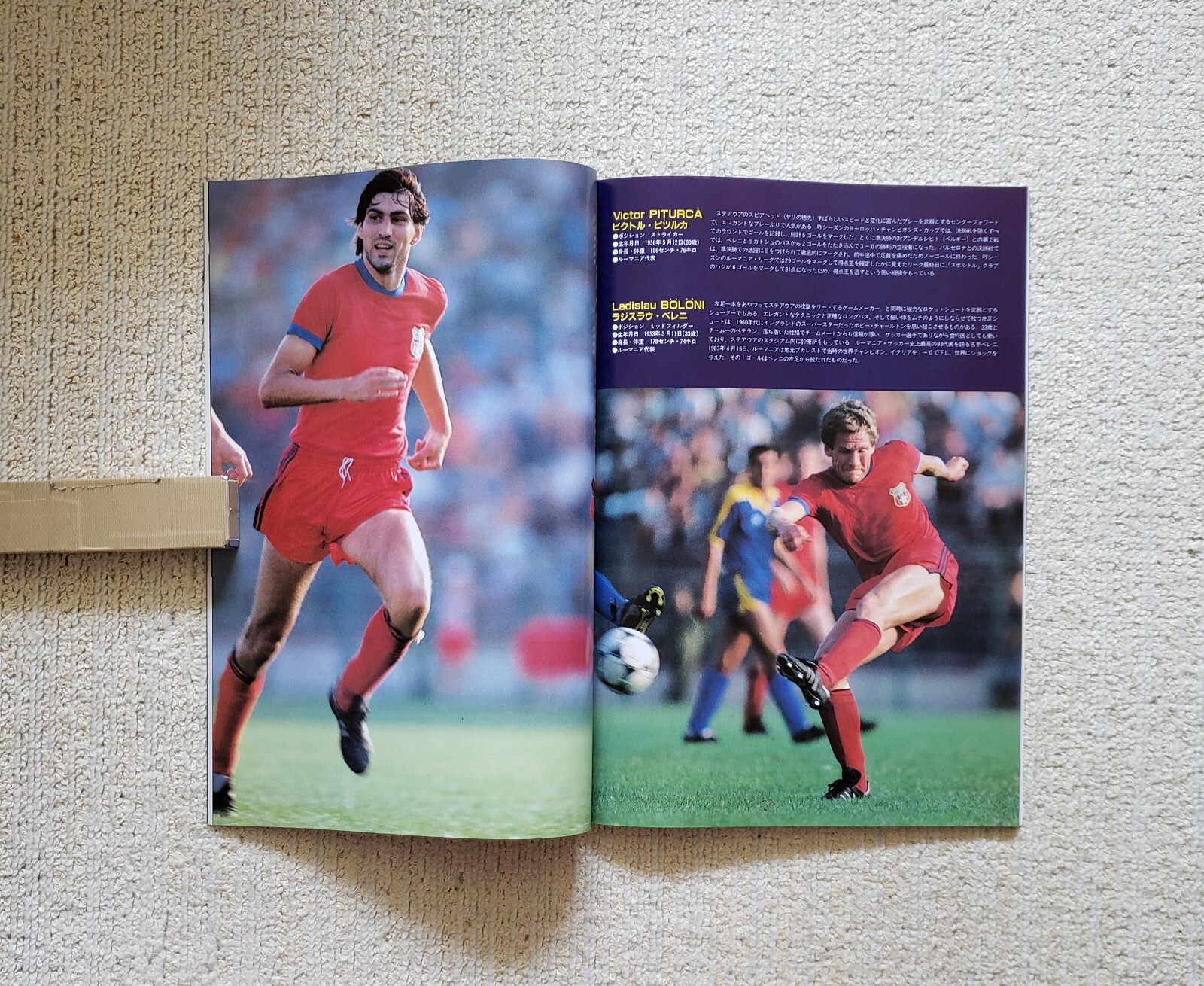 Toyota Cup 1986 (Steaua București vs. River Plate) Program