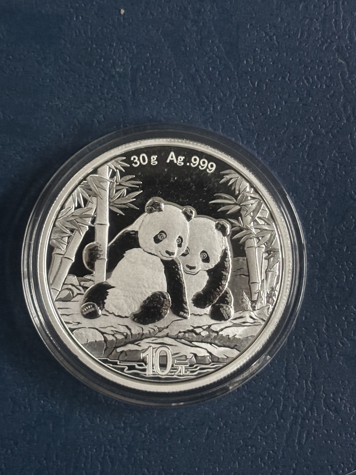2026 China Silver Panda coin 30 gram 10 Yuan .999 Fine bullion