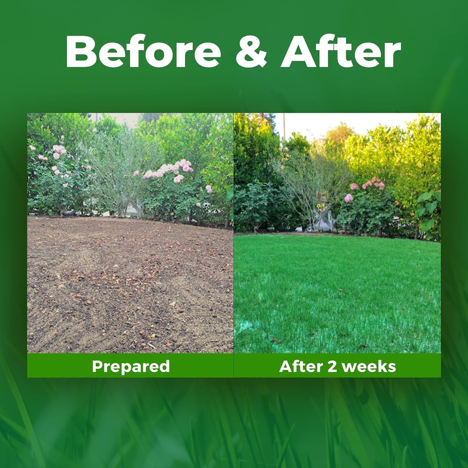 Sustainable Green Grass Seed Mat - -Round Solution for Drought Resistance
