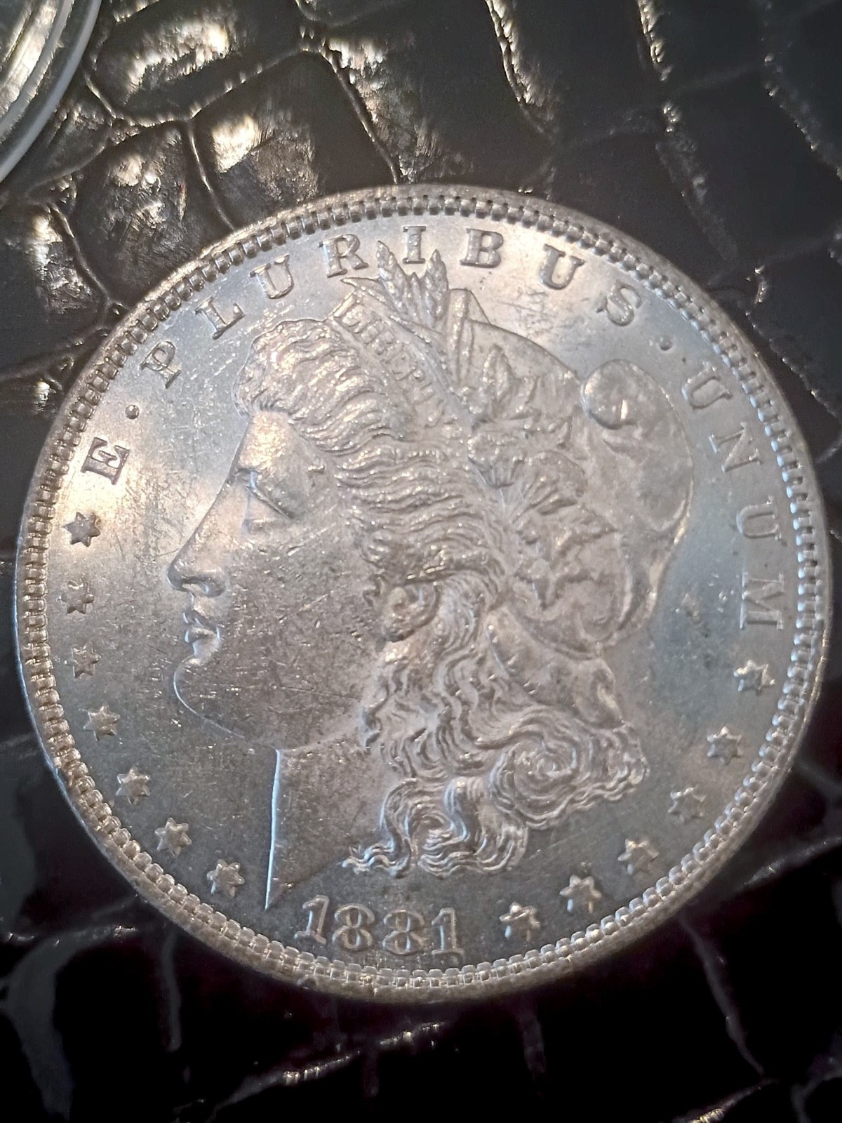 1881 $1 Morgan Silver Dollar in Uncirculated+ Condition