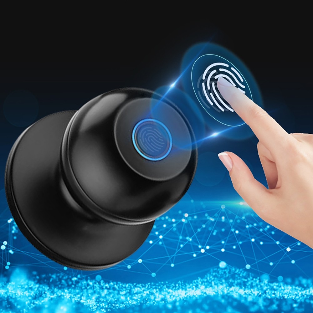 Fingerprint Door Lock Electronic Digital App Control Keyless/Key Entry Black