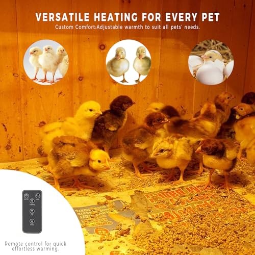 16" x 12" Chick Brooder Heating Plate with Anti Stand Cone, Brooder Heater for