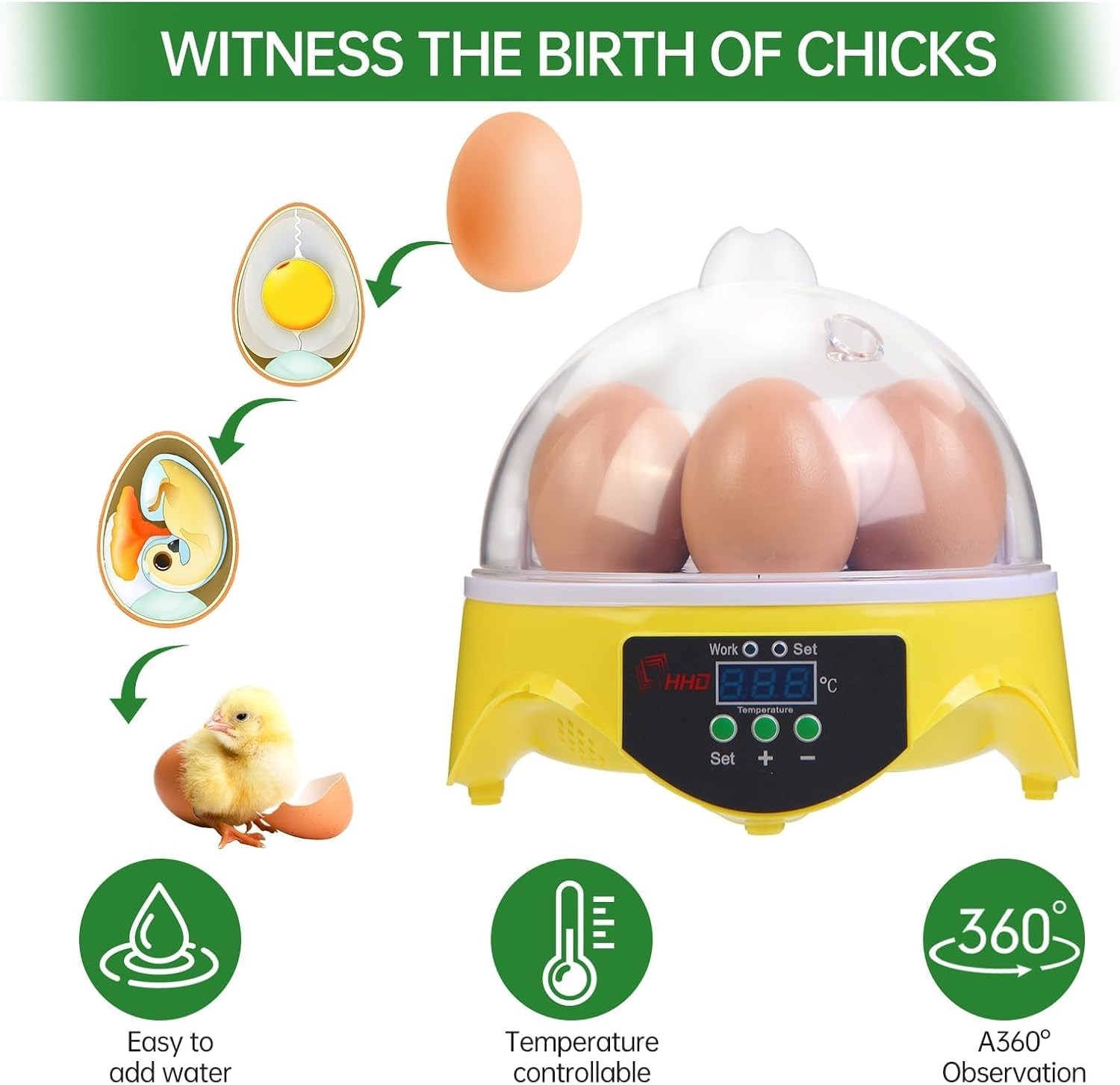 Lightweight 7-Egg Incubator - Automatic Temperature & Manual Humidity Control