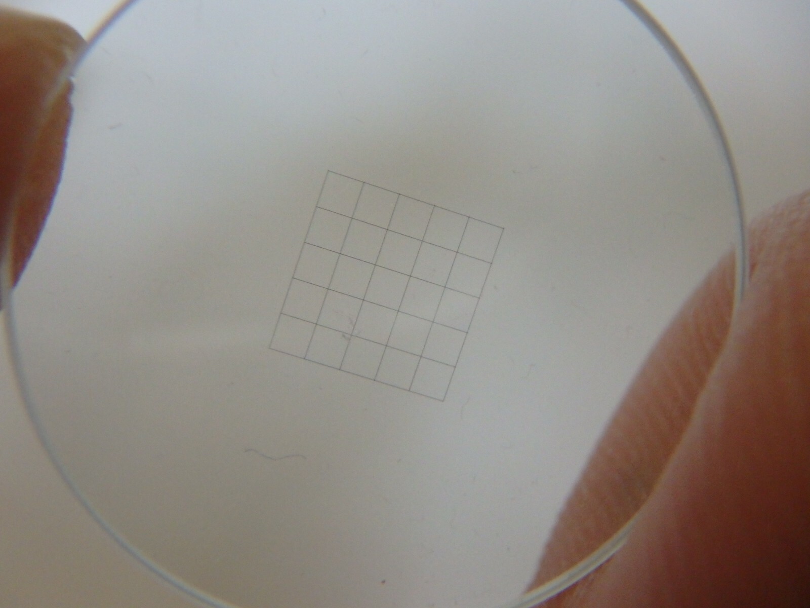 Eyepiece graticule 20.5mm for microscope ; grid 5x5 1mm each