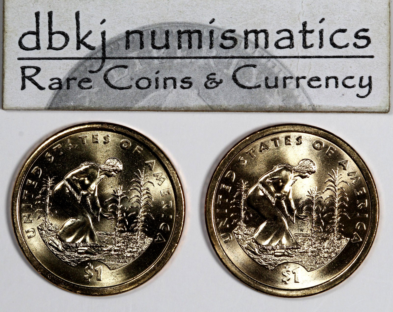 2009 P & 2009 D Native American Sacagawea Dollar $1 - BU - Choice to Gem Uncirc.