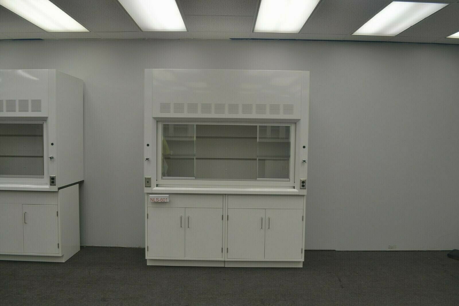 Laboratory 6' Fume Hood Enclosure w/ General Storage / E2-019
