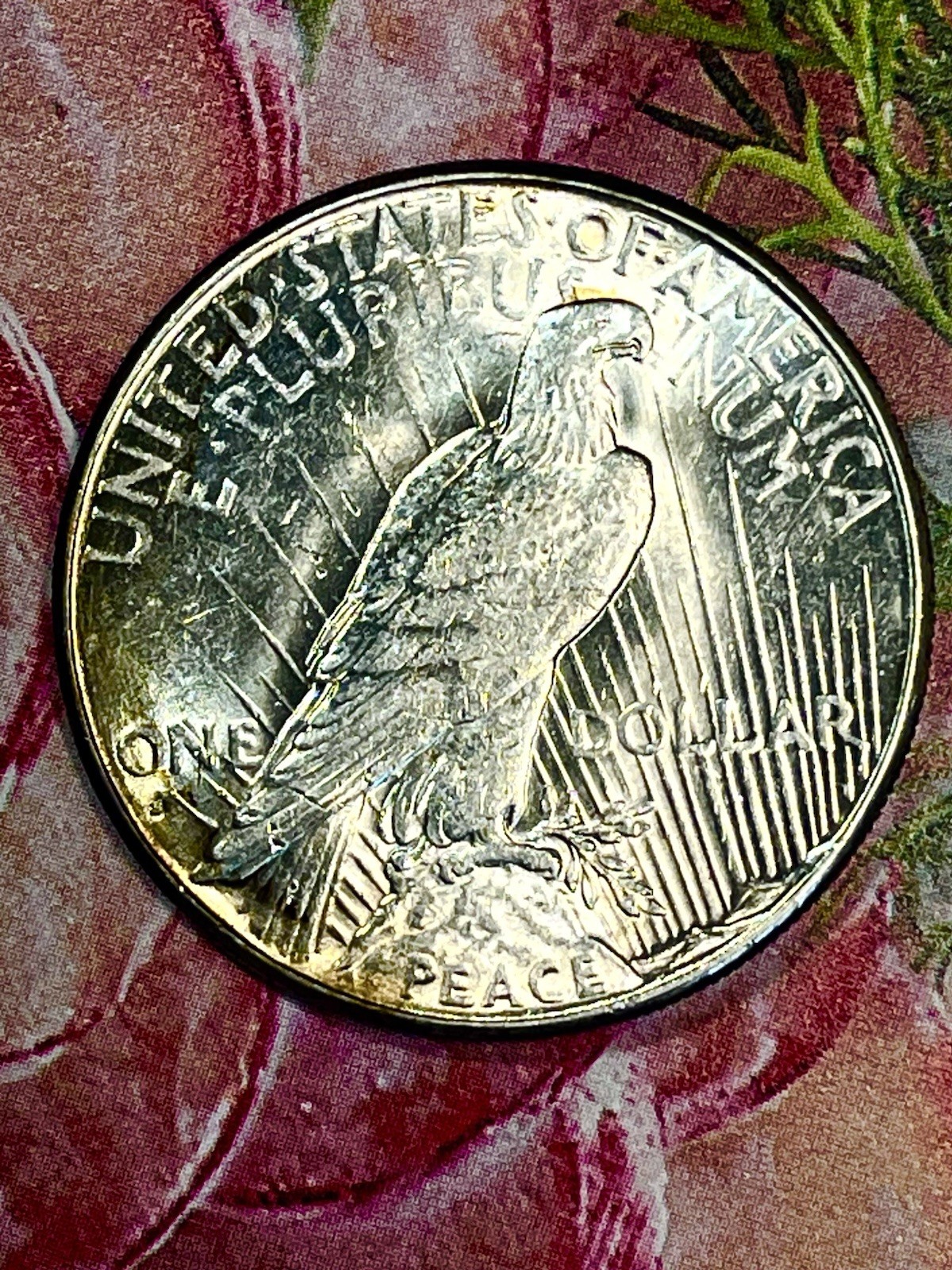 1928 S Peace Dollar Beautiful Toned Gem
