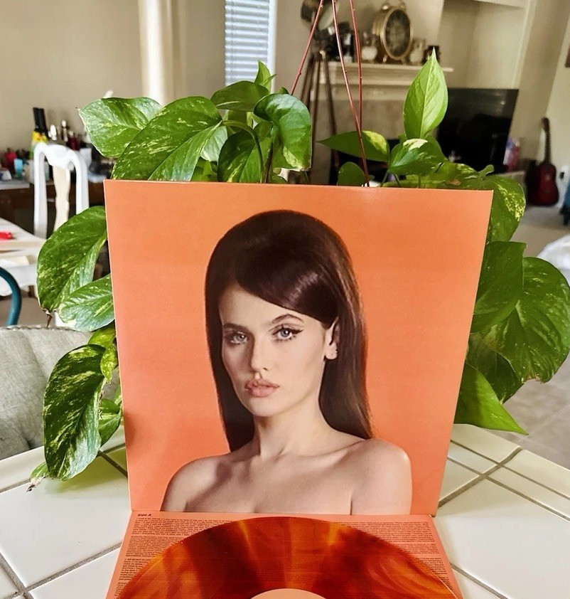 Sienna Spiro Visitor LP Blood Records Mahogany Melt Vinyl x/3000 MINT! On Hand!*