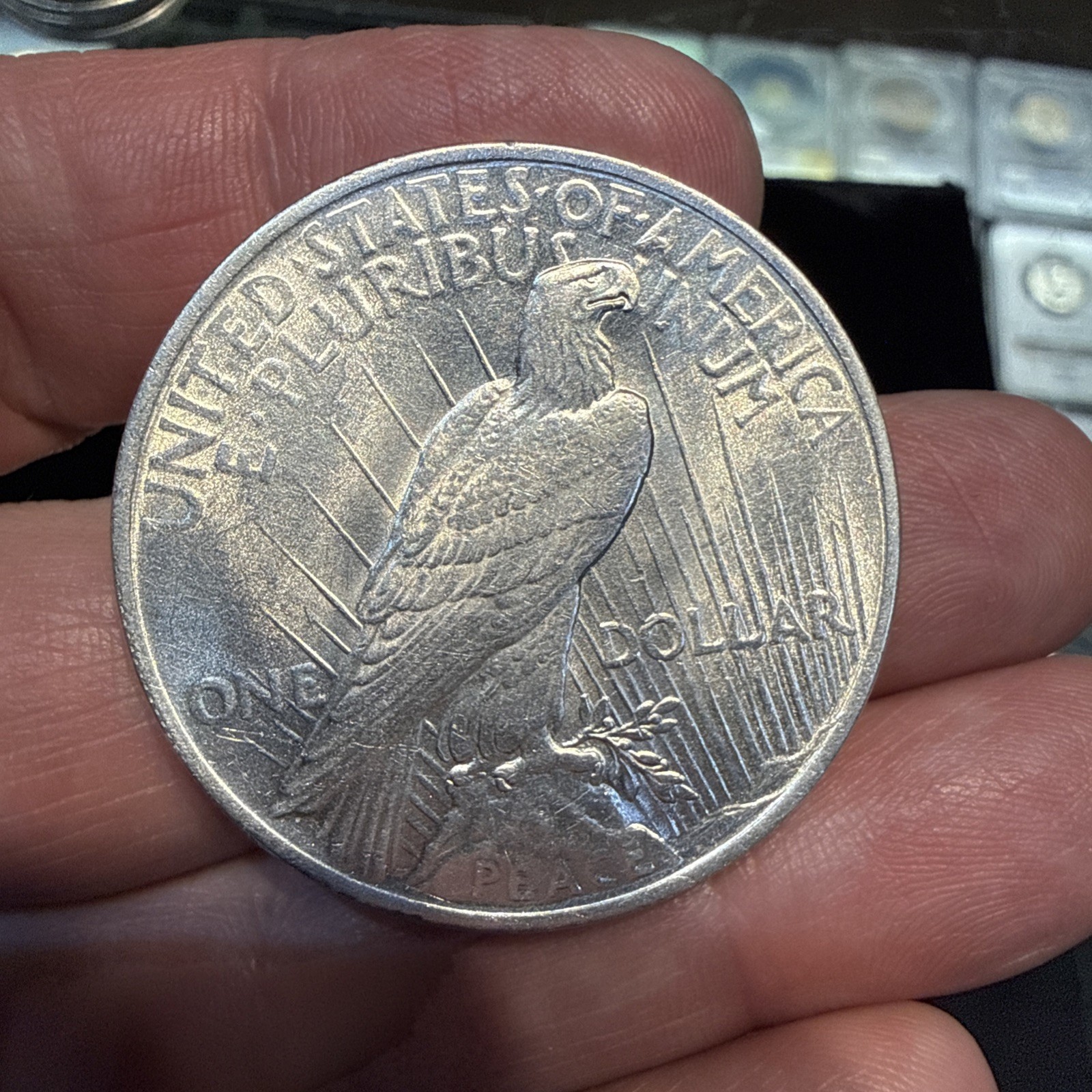 Lot Of 5 Peace Dollars