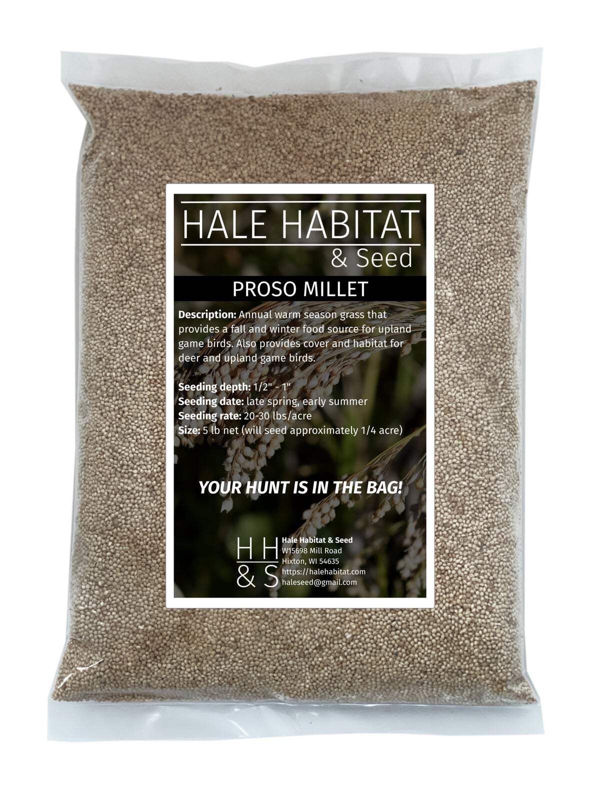 Proso Millet Seed | Deer Upland Birds Food Plots Late Season Grain Cover Habitat