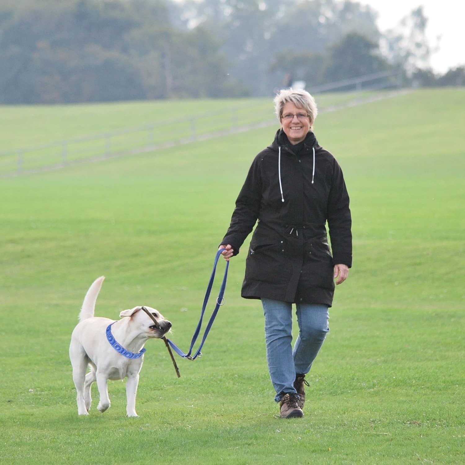 Extra Link Adjustable Training Collar in Blue for Medium, Large & X-Large Dogs
