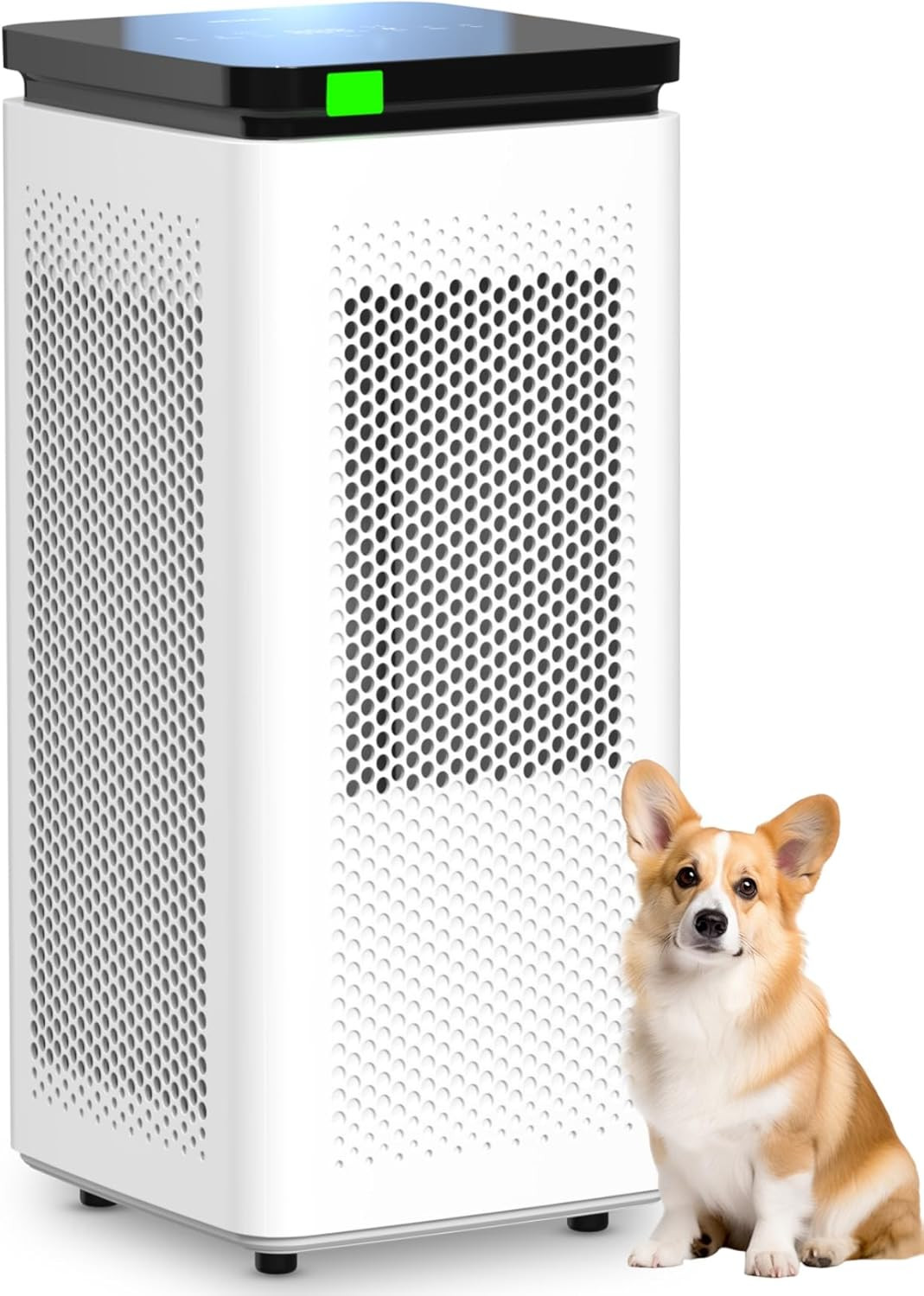 Air Purifiers for Home Large Rooms up to 3500 Ft², H13 True HEPA 0.1 Micron 99.9