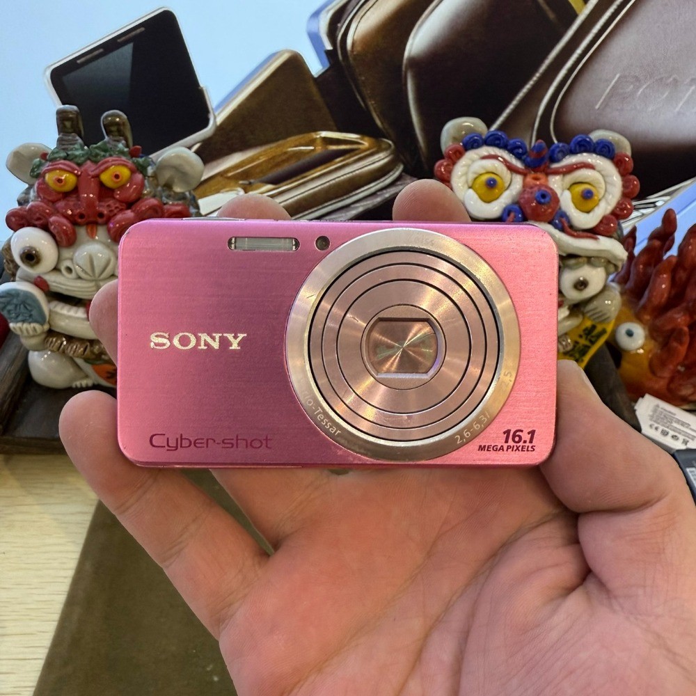 SONY Cyber-shot DSC-W630 Digital Camera 16.1MP 5x Optical Zoom Pink AE/FE Lock