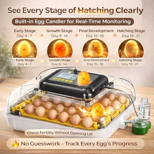 30 Egg Incubator with Humidity Display, Egg Candler, Automatic Egg Turner, for H
