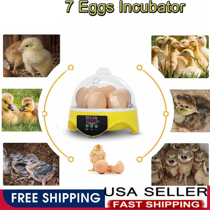 Incubators for Hatching Eggs, Egg Incubator with Automatic Egg Turning and Humid