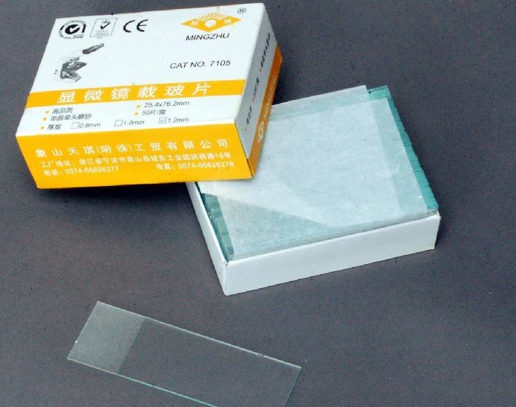 50PCS Blank Microscope Slides with 100PCS Square Cover Glass,