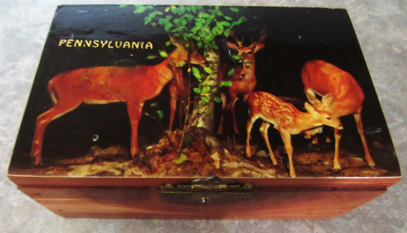 WOOD CEDAR KEEPSAKE BOX DEER ON TOP EXCELLENT