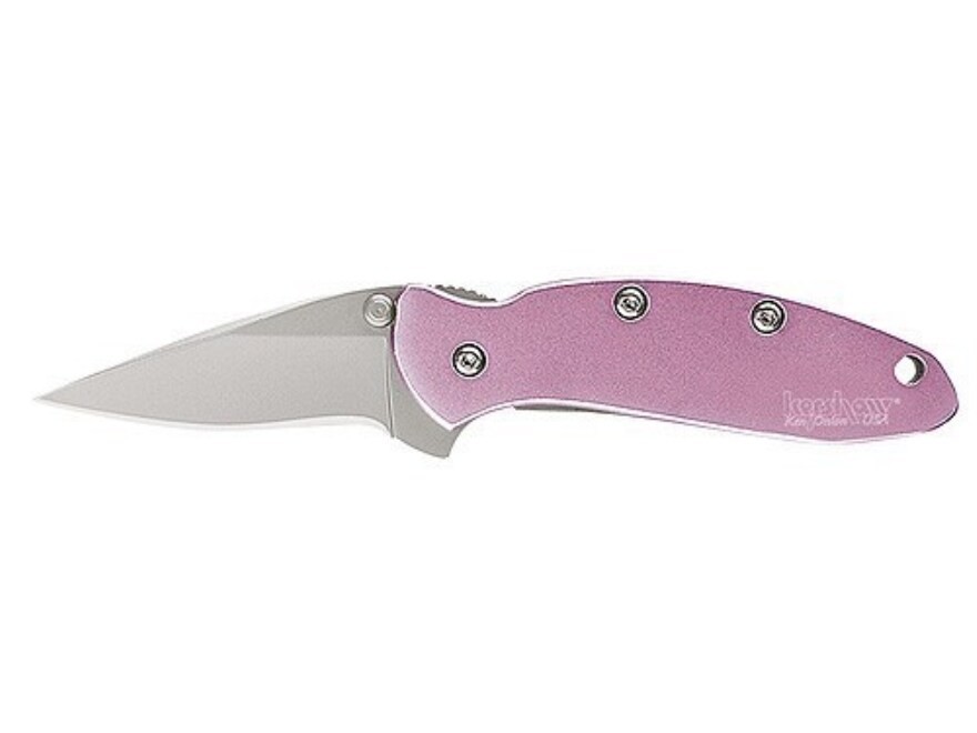 Kershaw Chive Assisted Opening Pocket Knife 1.938" Drop Point 420HC Stainless