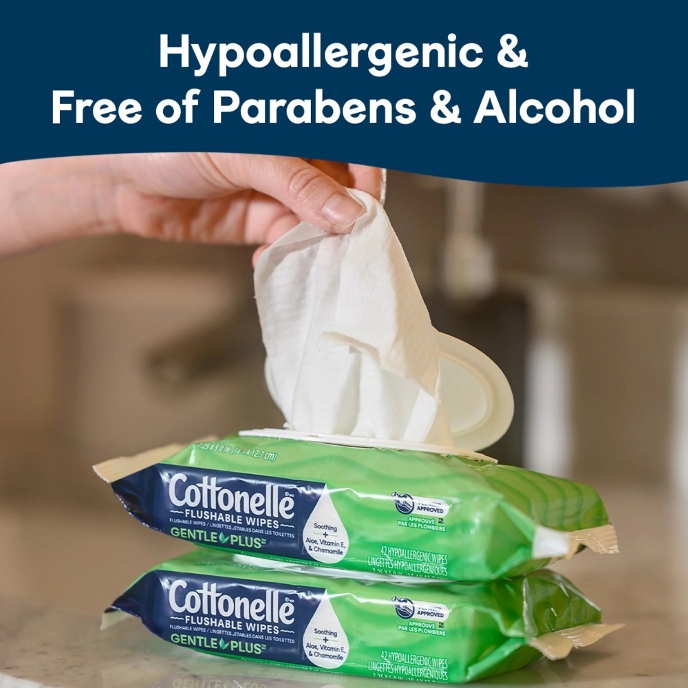 Gentle Plus Flushable Wet Wipes, 4 Flip-Top Packs