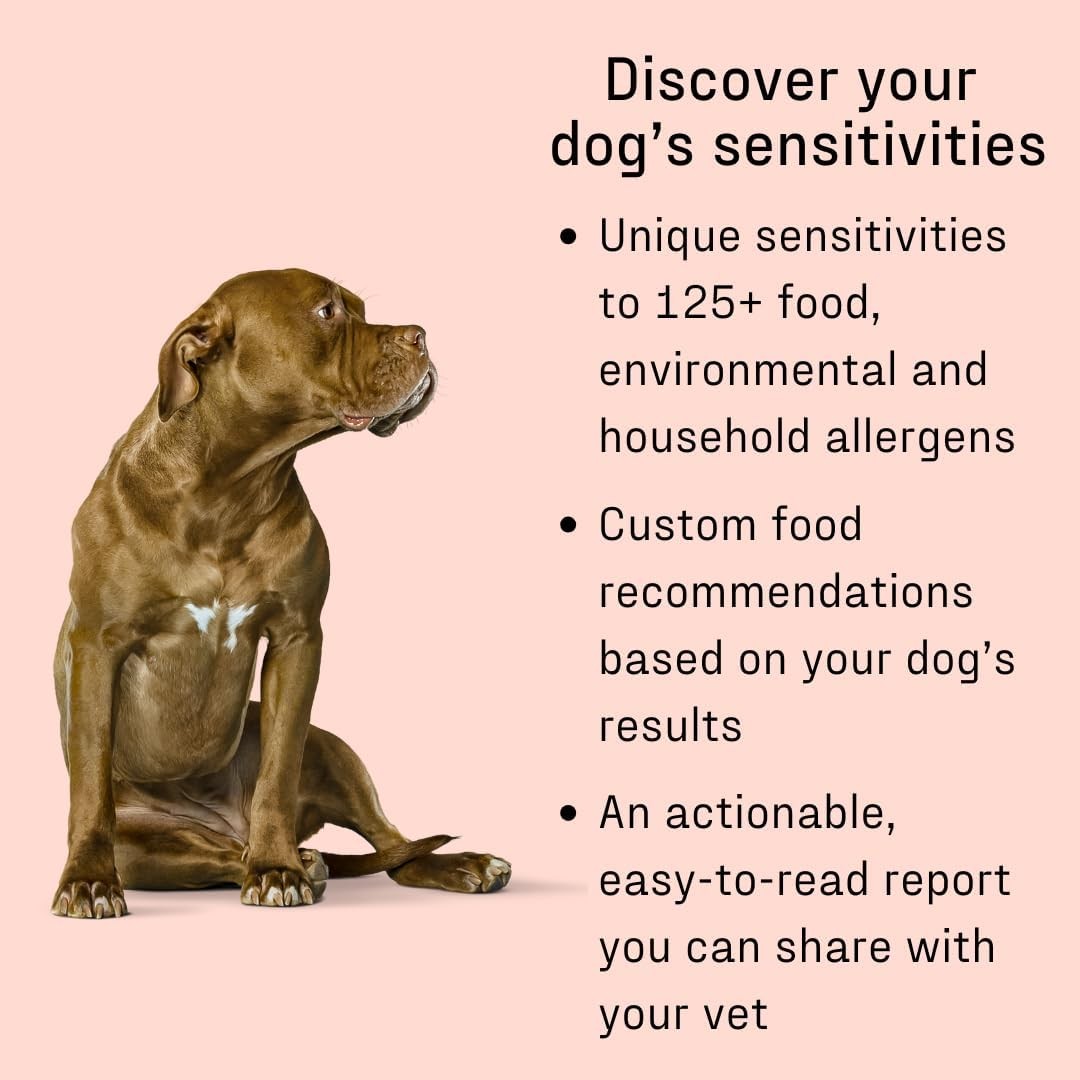 Precision Allergy Testing Designed for Dogs withSensitive Skin CheekSwabSampling