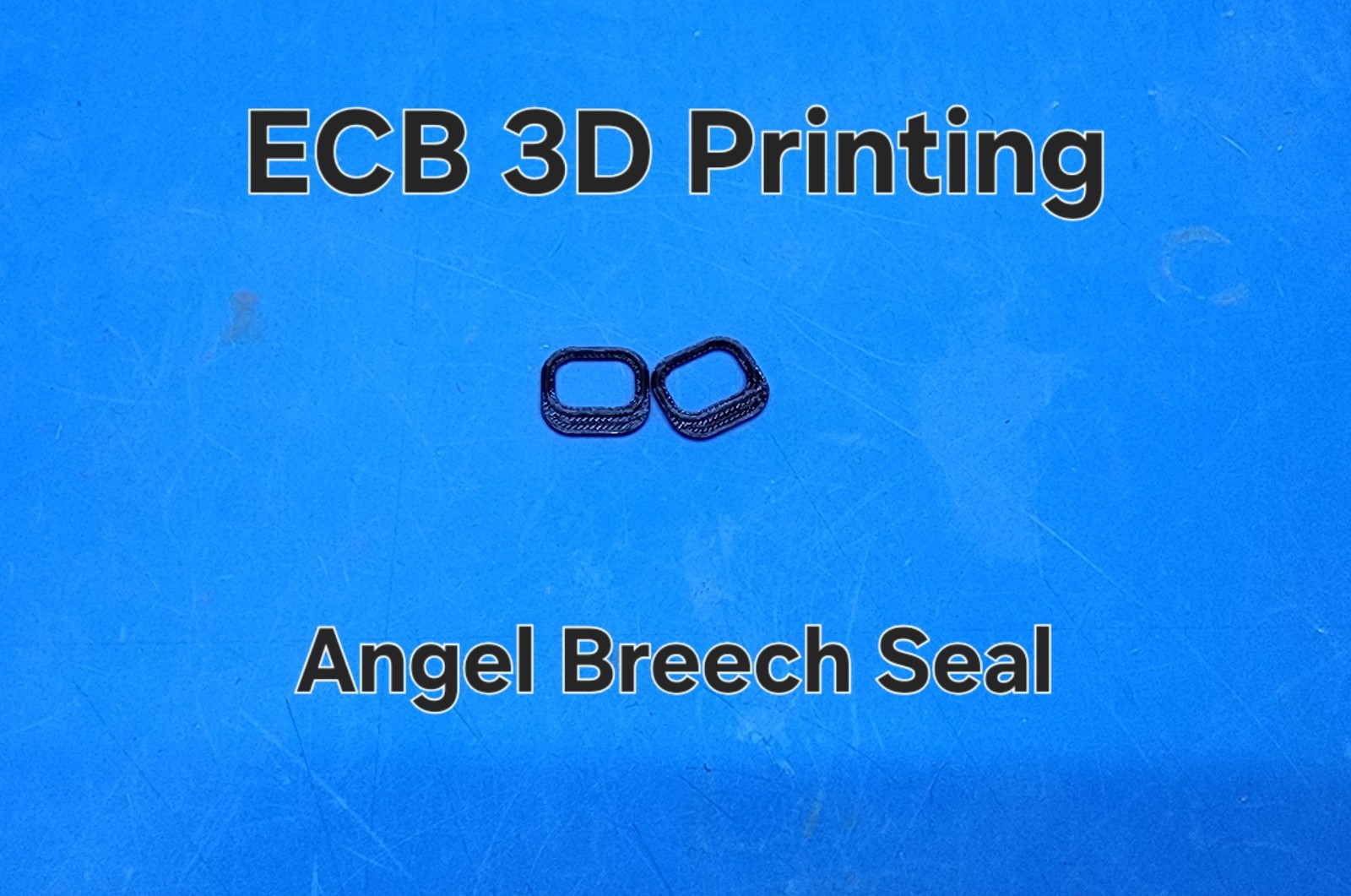 ECB 3D Printing Angel Breech Seal