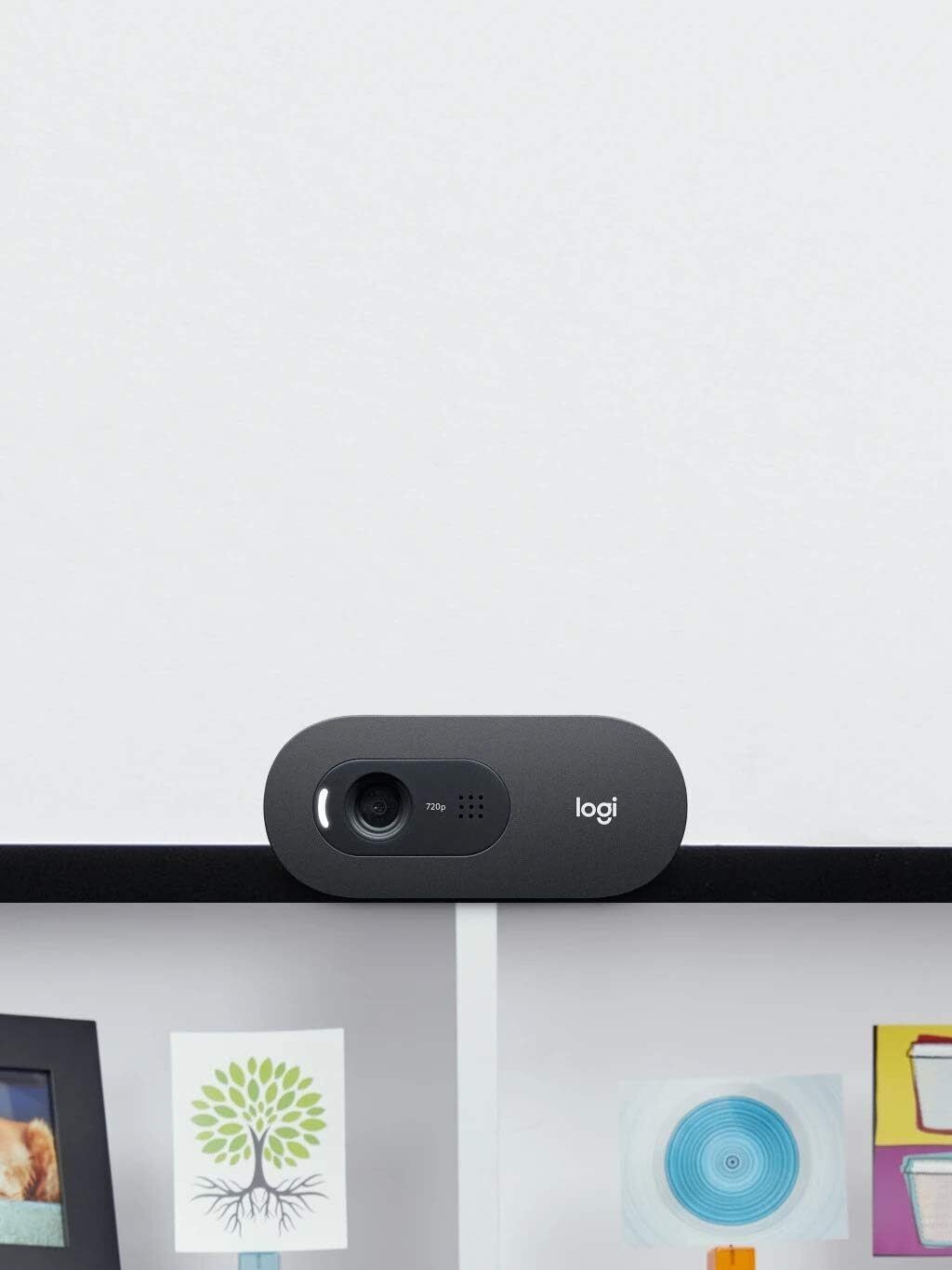 Logitech C505 HD Webcam