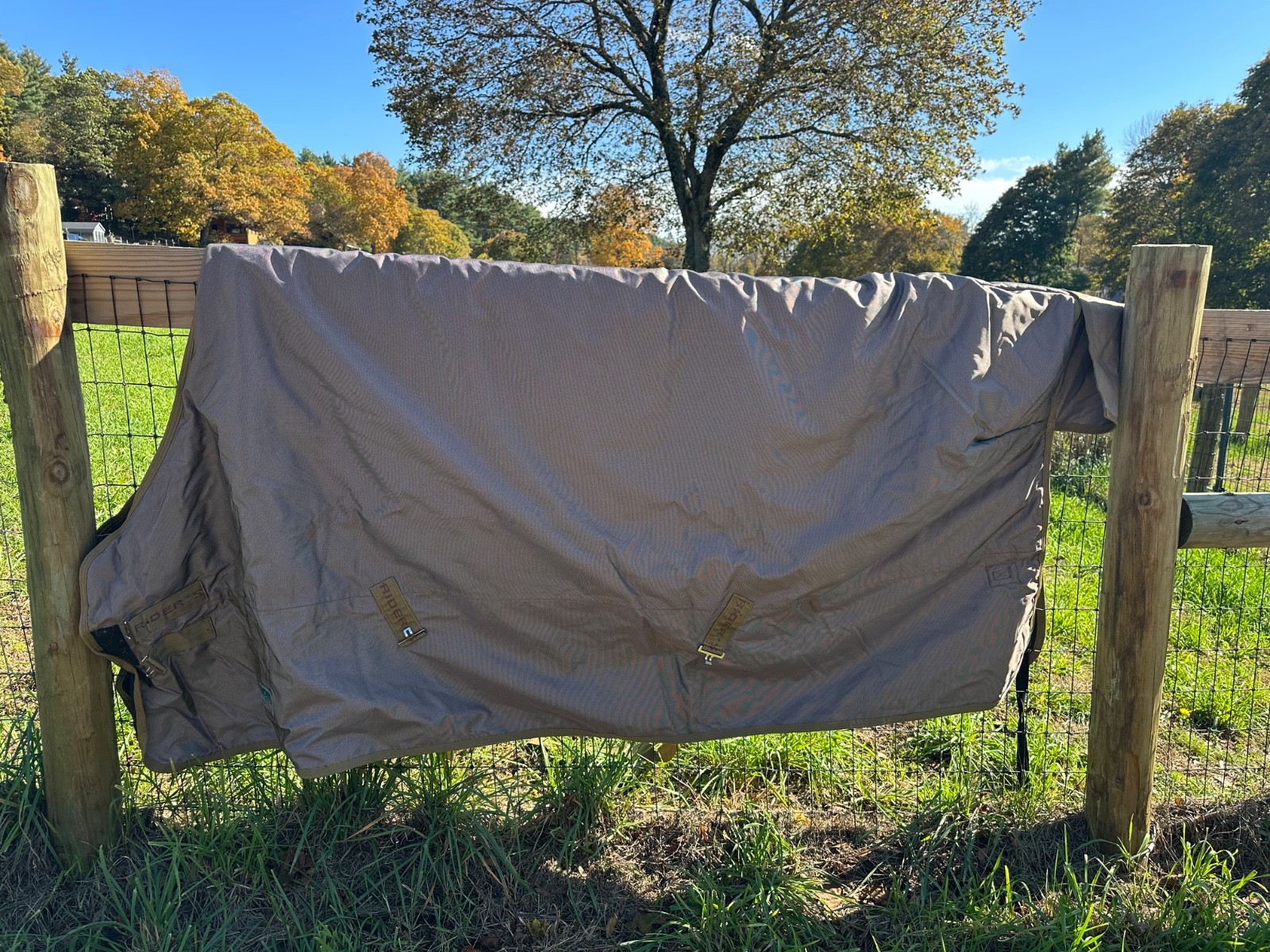 Rider's International Medium/Heavyweight Blanket - Size 84