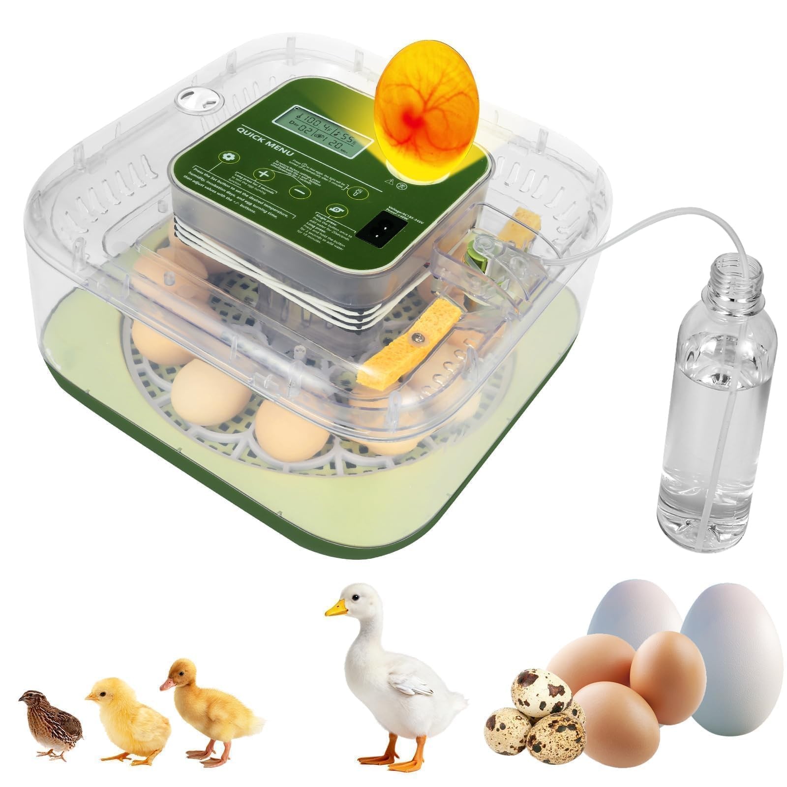 Series IV - 12 Egg Fully Automatic Incubator, Low Maintenance, Intelligent Se...