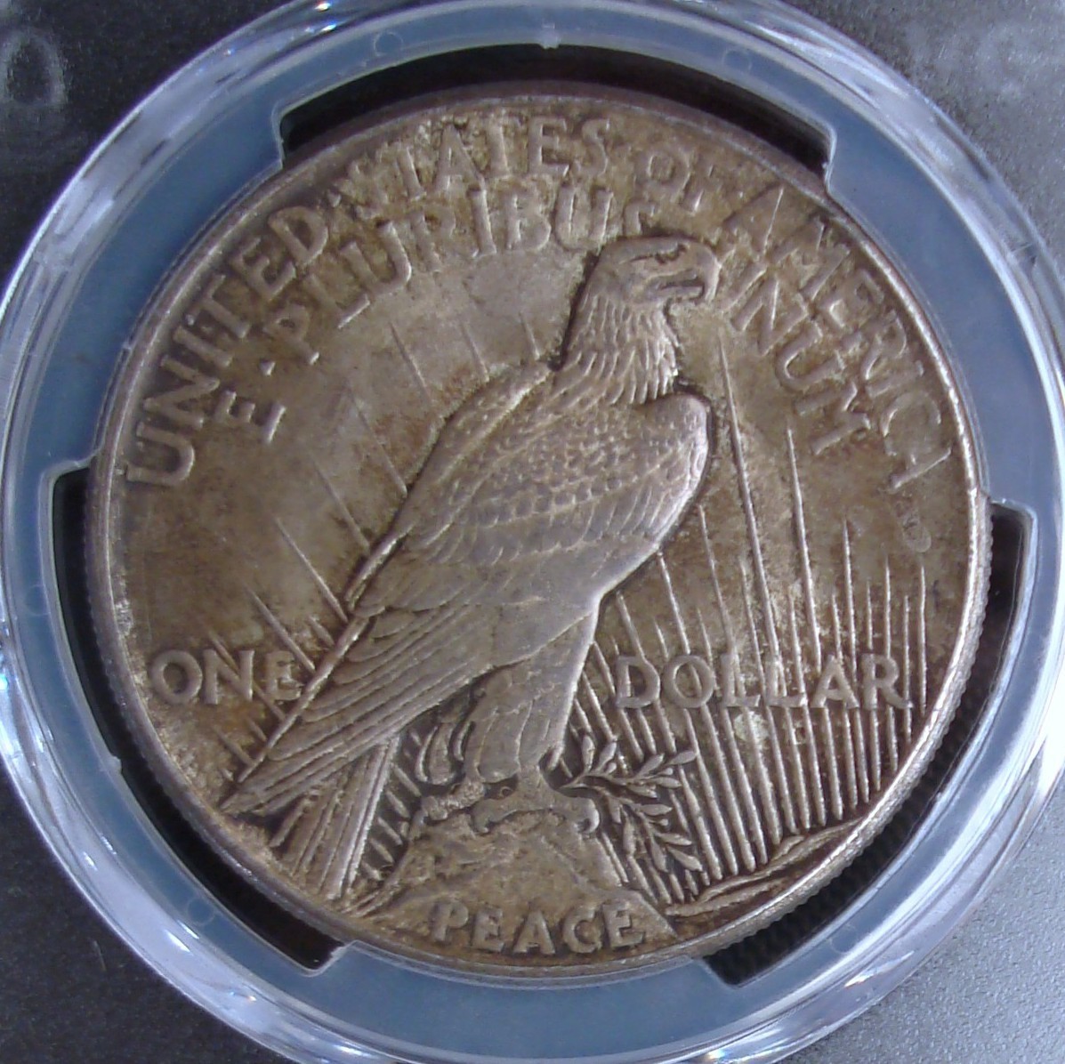 1921 High Relief Peace Silver Dollar - PCGS MS 64 - Gold Shield