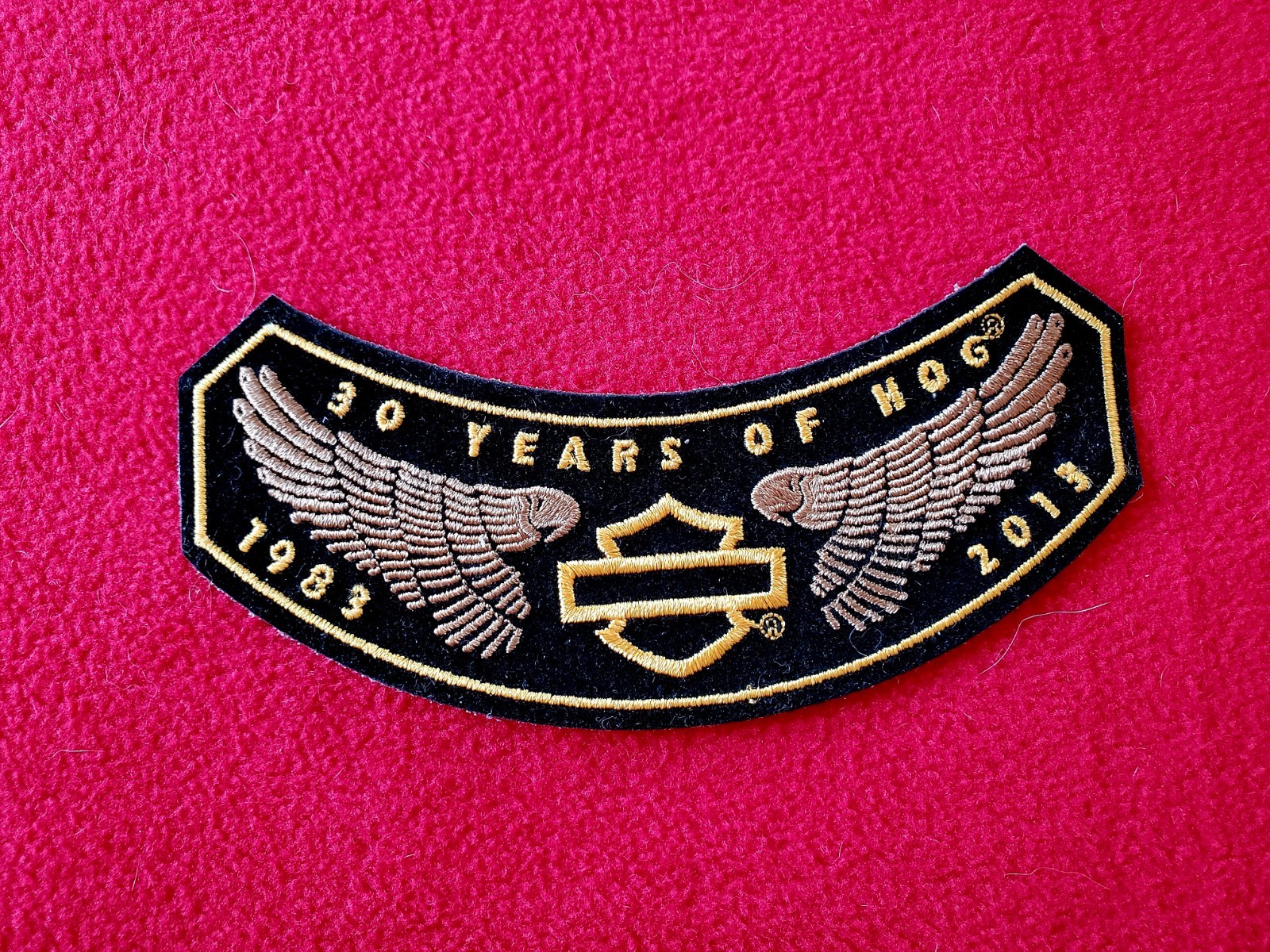 HOG HARLEY DAVIDSON OWNERS Patch And PIN