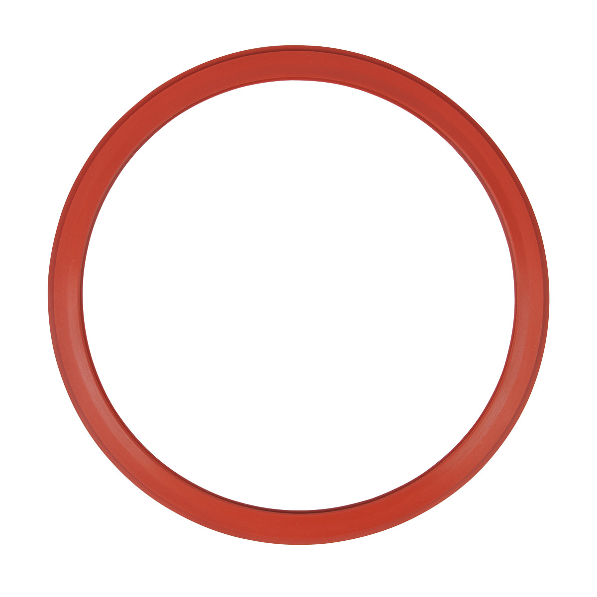 Door Gasket (Pelton & Crane OCM & GN)