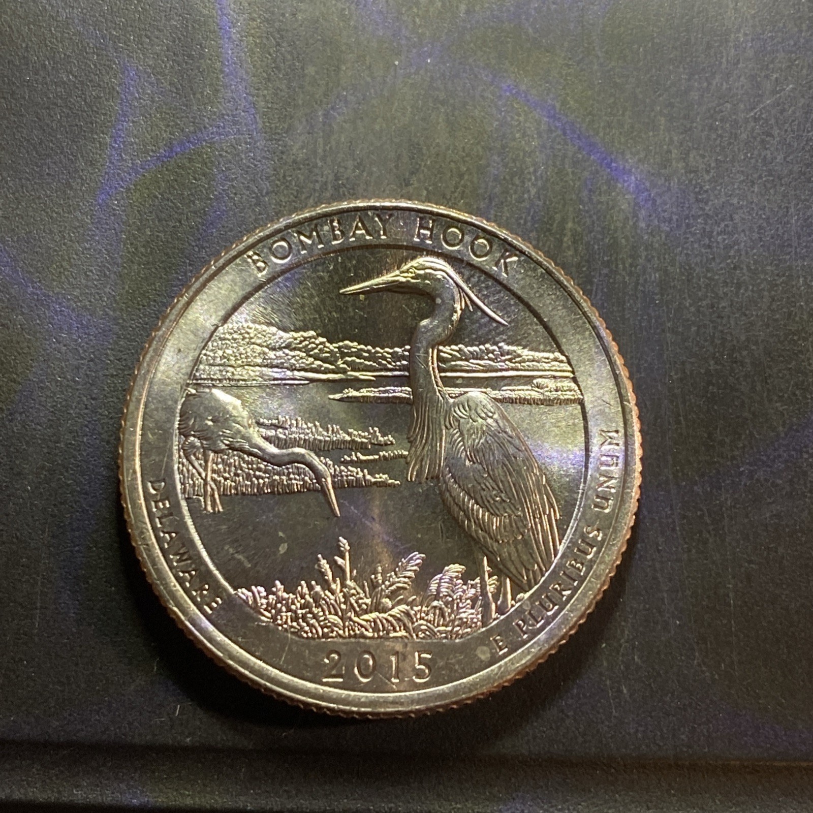 🔥2015 P Bombay Hook Quarter With Die Chip Errors and Off Center Strike🔥
