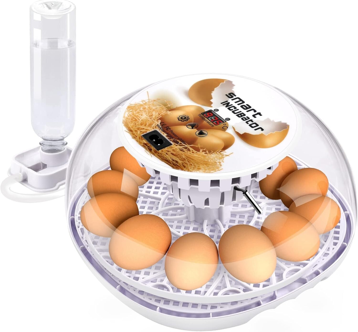 Incubadora Encubadora de 12 Huevos Para Sacar Pollos Gallinas Automatica NEW	htt
