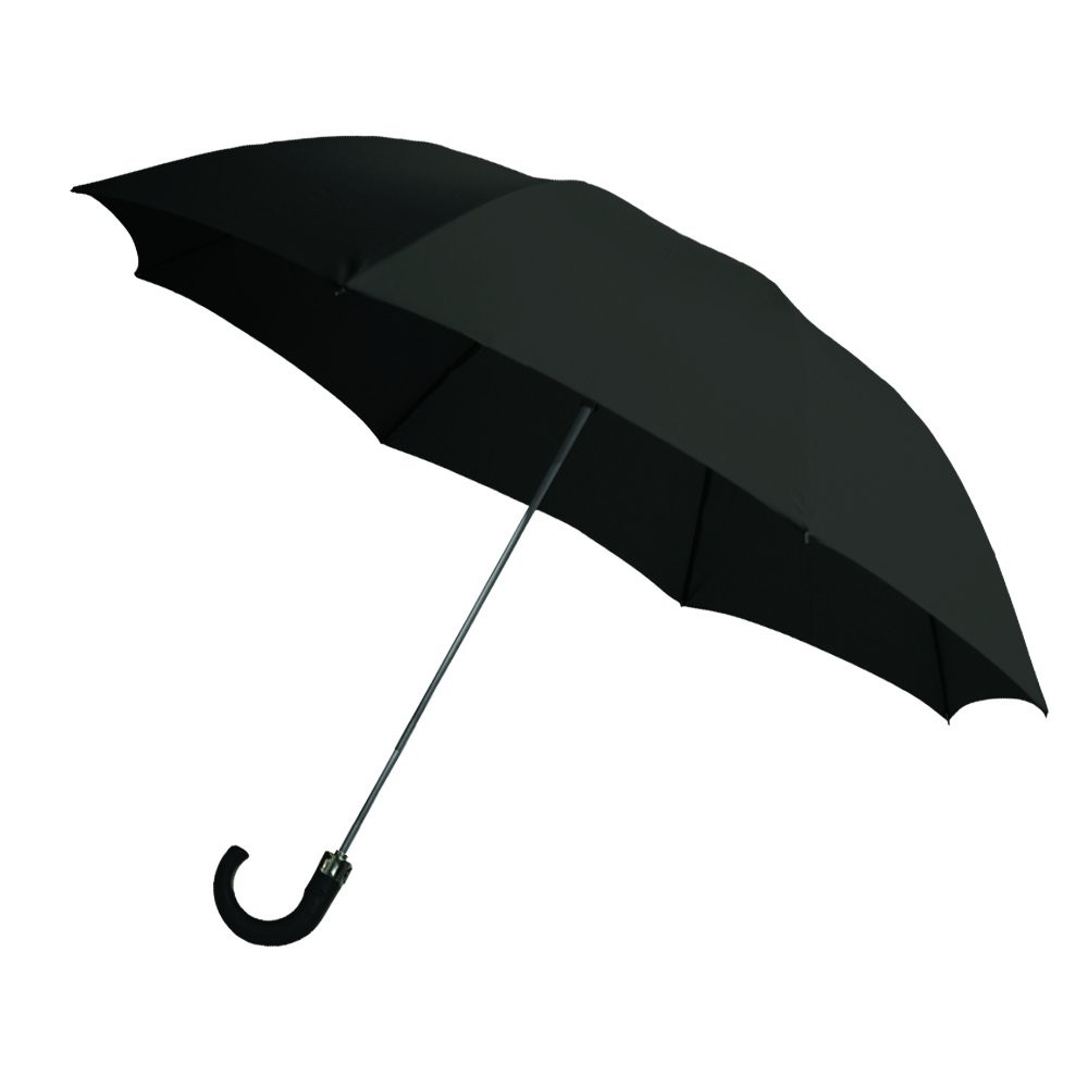 2-Fold Auto Open Umbrella with Storage Sleeve and Plastic Hook Handle, Black,...