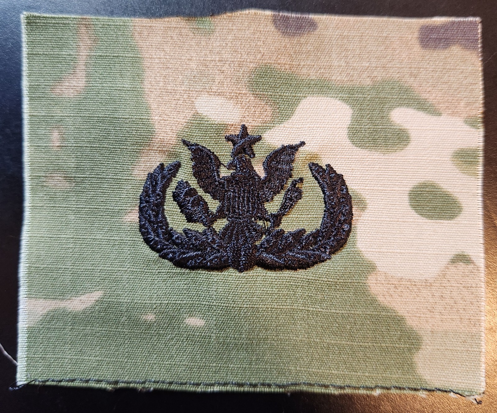 Senior MEMS Badge - OCP Sew-On - State Guard Association of the U.S. (SGAUS)