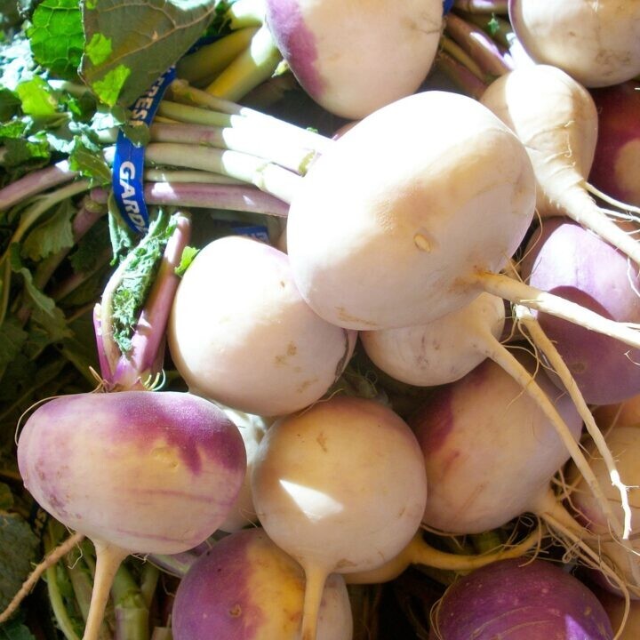 3000 Purple Top Turnip Seeds Vegetable Garden Seeds 