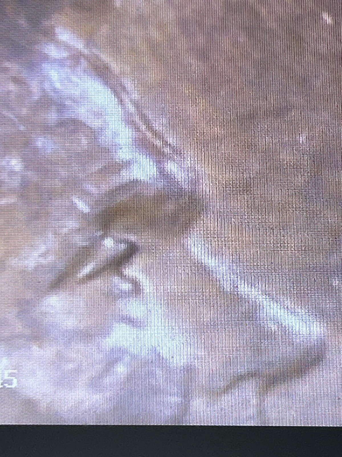 1942 D Wheat Penny DDO FS