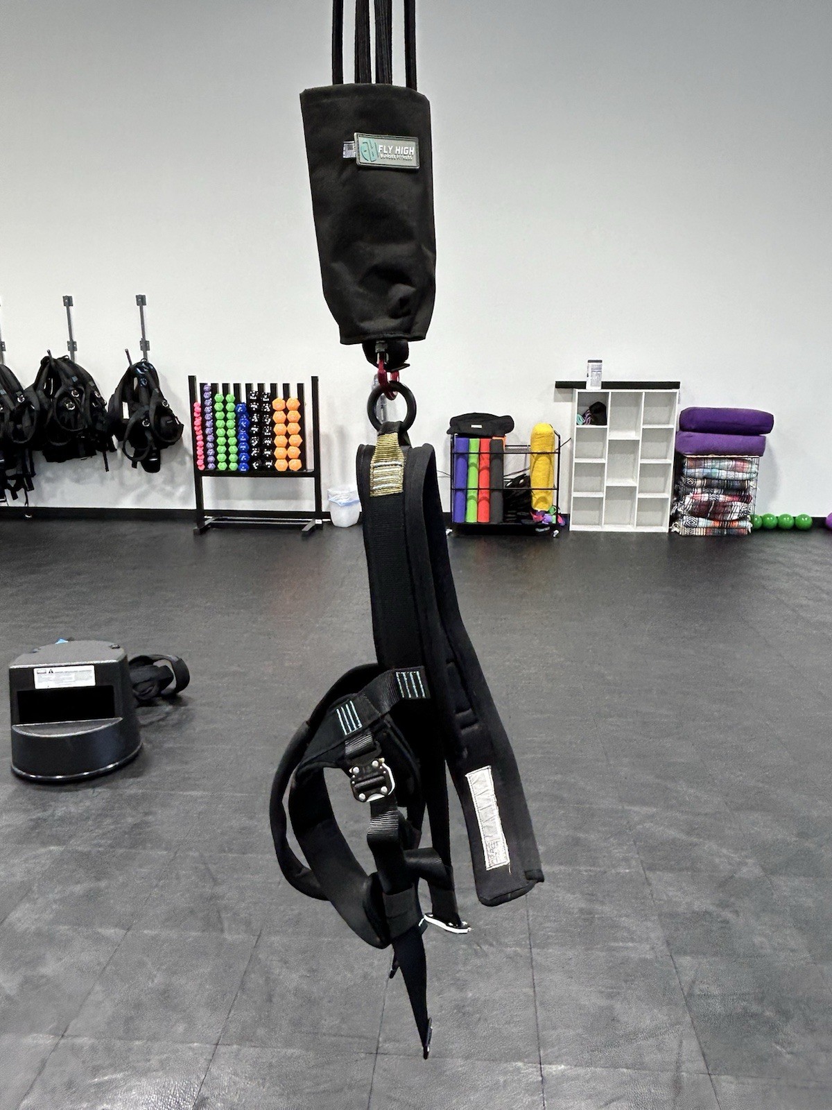 Fly High Bungee Fitness Harness